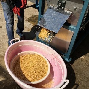 دستگاه شستشوی بذر خربزه، طالبی و گوجه فرنگی، مدل F.K402