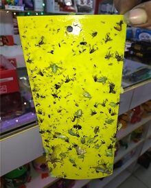کارت زرد جاذب حشرات (چسب حشره)